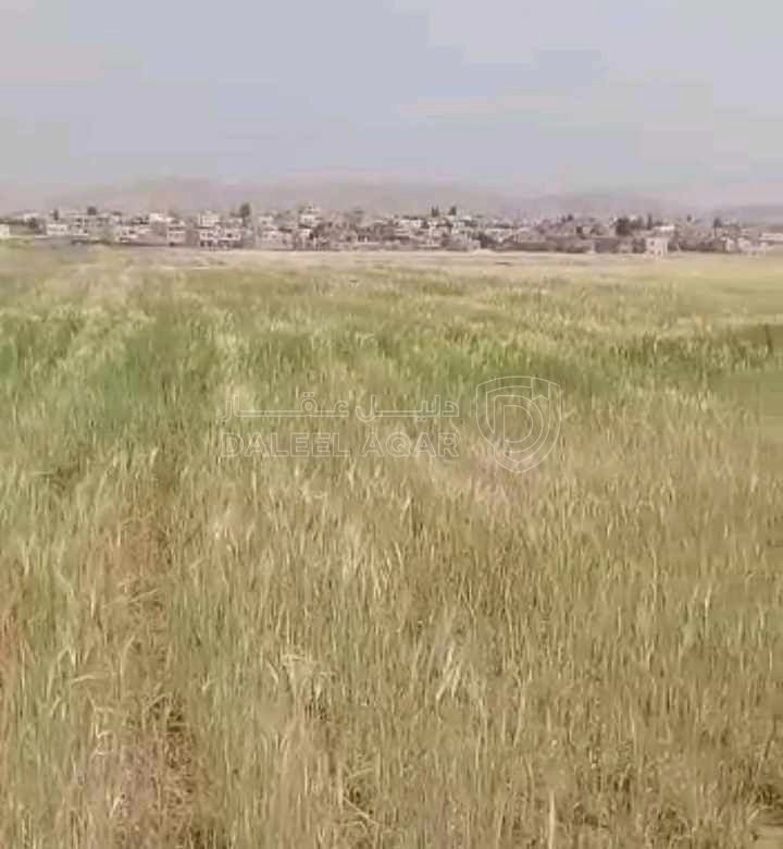 أرض في ارض منظمة قوشان مستقل متر 12 دينار - 12,300 دأ - صورة 1