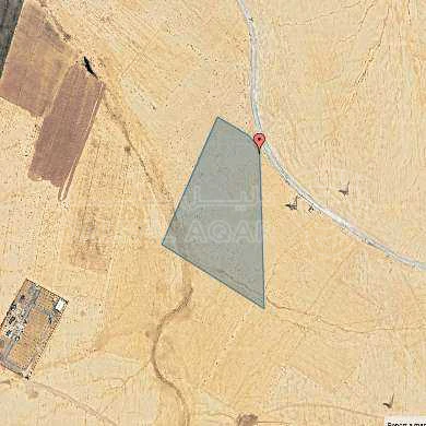 أرض في الجيزة ام الرصاص قرية ابو الحصاني  - 33,000 دأ - صورة 1