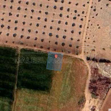 أرض في منطقة جنوب عمان - 72,000 دأ - صورة 1