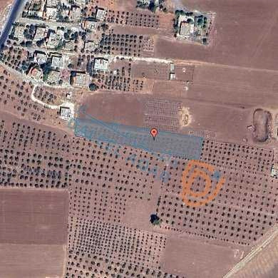 أرض في عمان ام البساتين  - 180,000 دأ - صورة 1