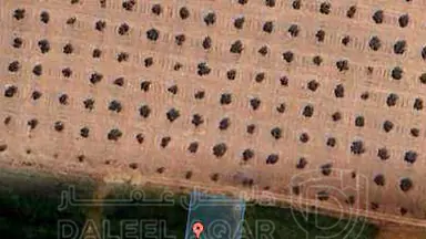 أرض - منطقة جنوب عمان - 75000 دأ