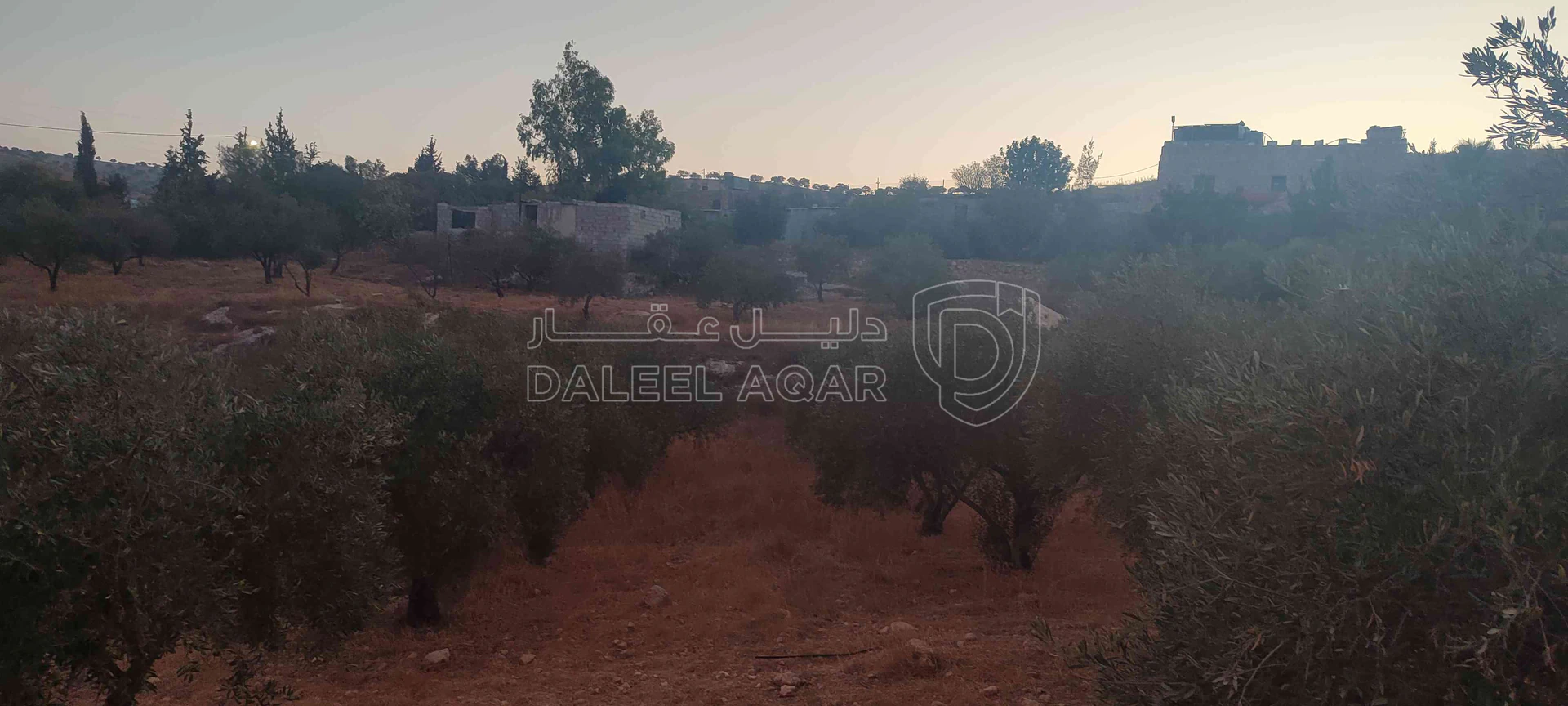 أرض في الزرقاء قضاء بيرين صروت  - 187,500 دأ - صورة 1