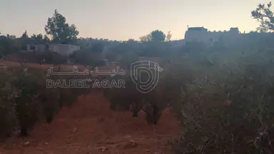 أرض في الزرقاء قضاء بيرين صروت  - 187,500 دأ - صورة NaN