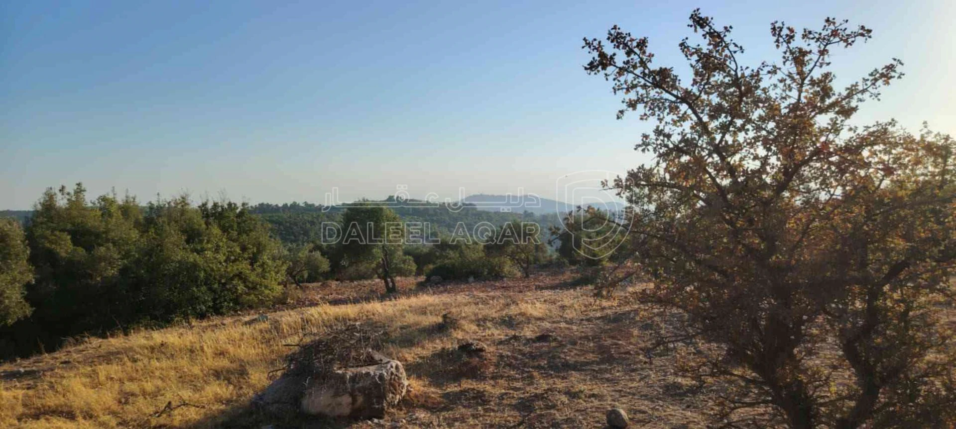 أرض في جرش الحسينيات  - 118,000 دأ - صورة 1