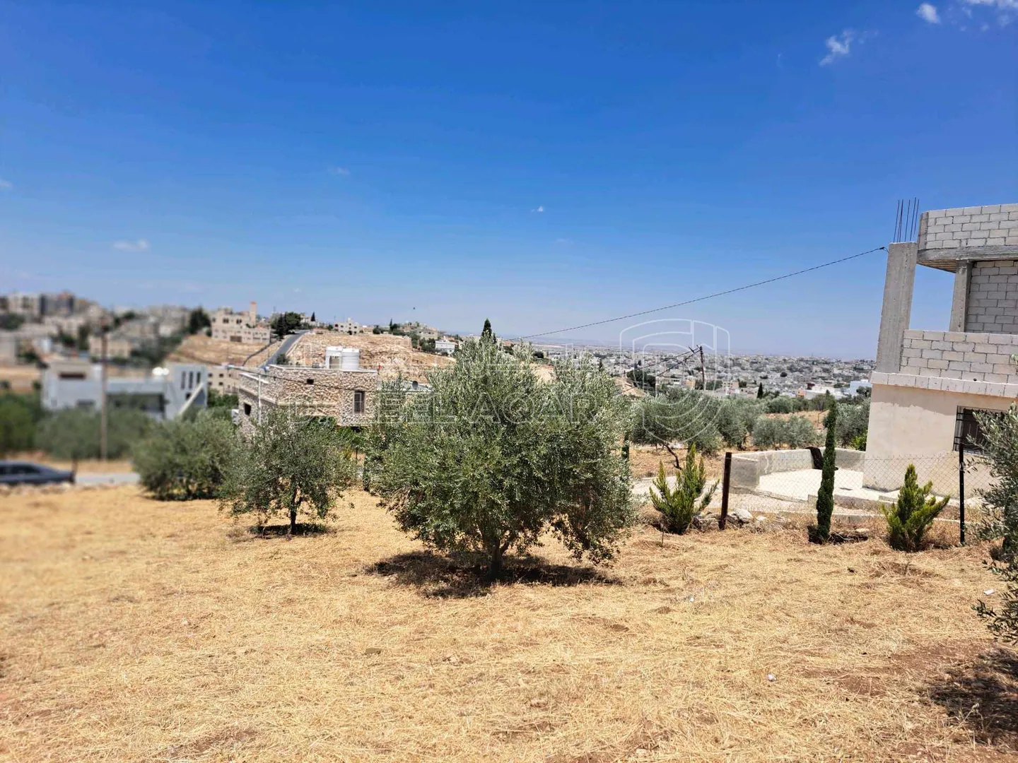 أرض في اربد الحصن  - 38,500 دأ - صورة 1
