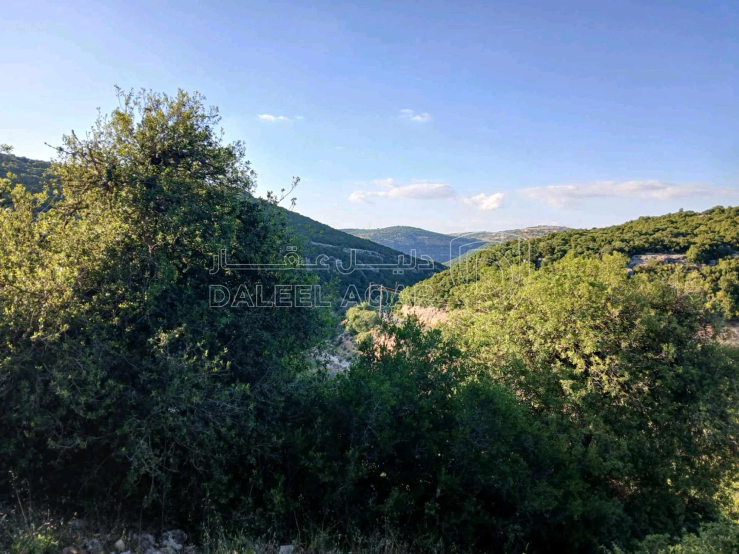 أرض في عجلون سوس راسون - 125,000 دأ - صورة 1