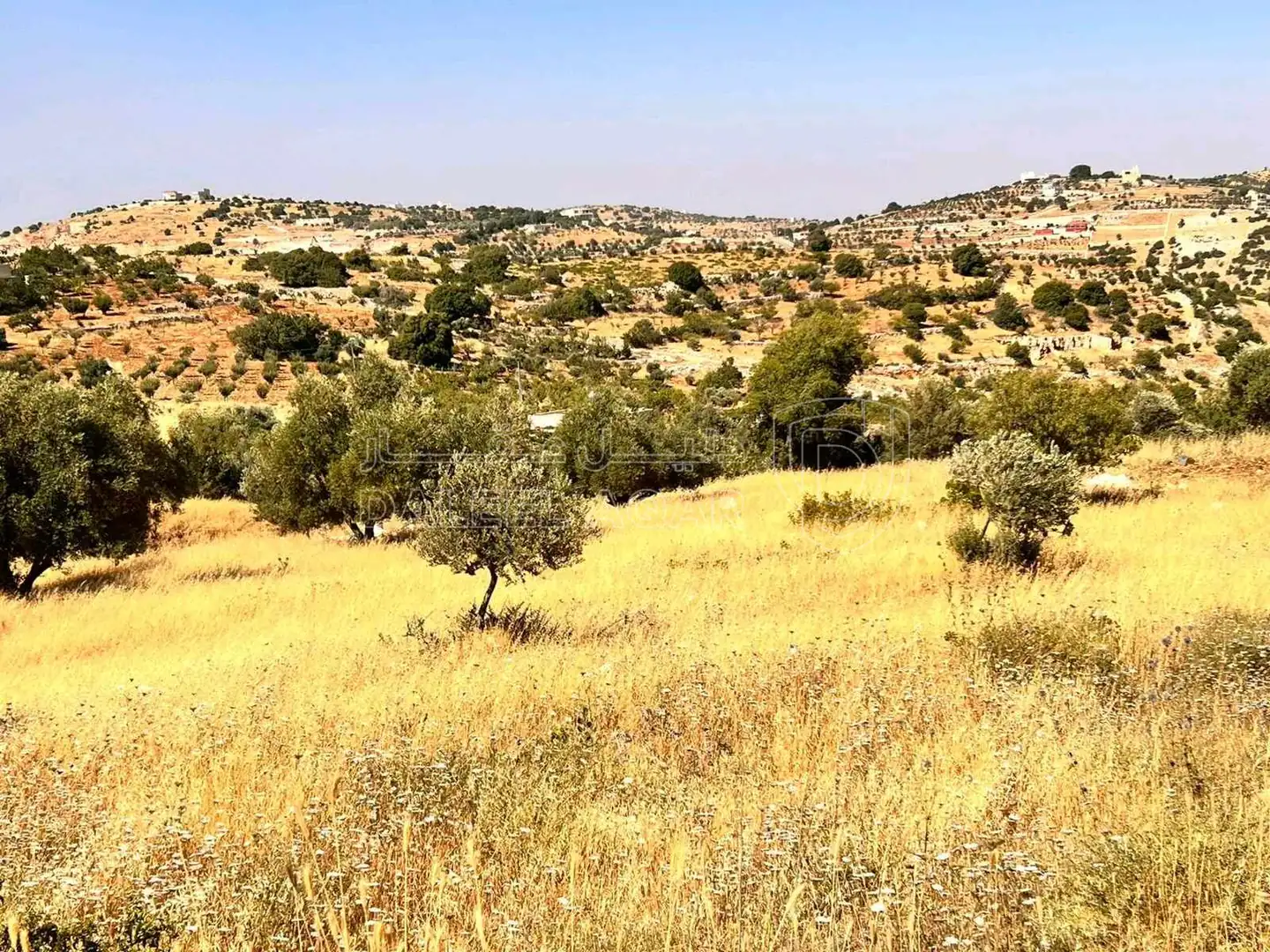 أرض في عجلون صخرة - حوض المشماس - 60,000 دأ - صورة 1