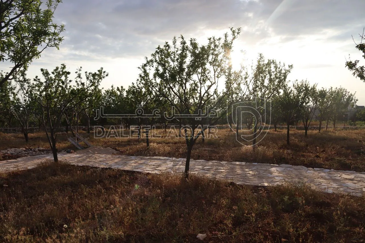 أرض في أرض سكنية للبيع في ناعور 9 دقائق عن كازية السلام - 80,000 دأ - صورة 1