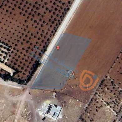 أرض في مادبا - ماعين-غرابيات ام راسين - 43,000 دأ - صورة 1