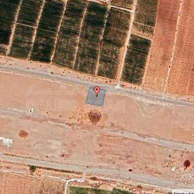 أرض في عمان - الطنيب - 51,000 دأ - صورة 1
