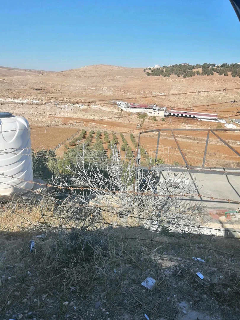 أرض في الكرك مثلث بعد مثلث غابة عينون ٨٠٠م - 55,000 دأ - صورة 1