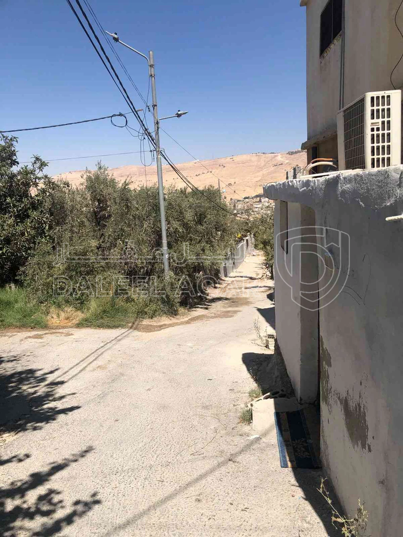 أرض في الطفيلة ام قرى - 25,000 دأ - صورة 1