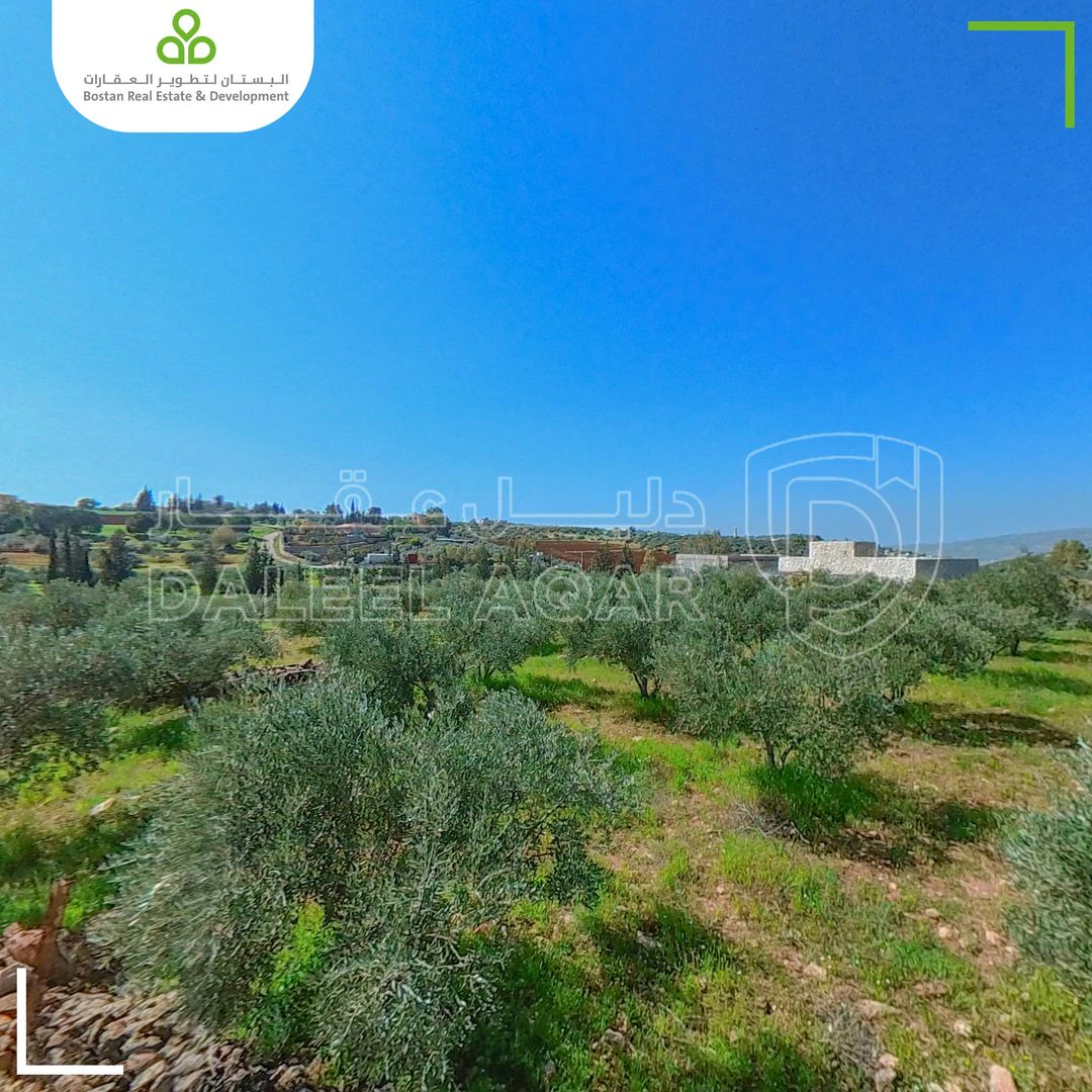 أرض في سيحان الصبيحي السلط - 39,000 دأ - صورة 1