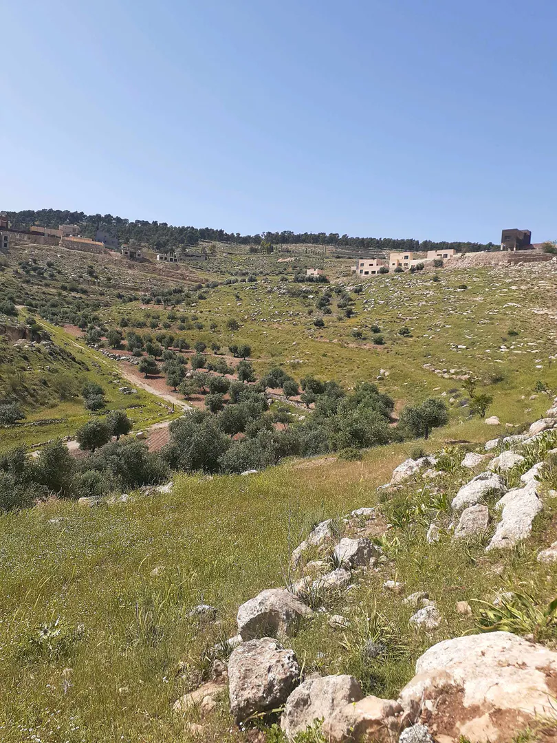 أرض في ارض للبيع في النبي هود  - 90,000 دأ - صورة 1