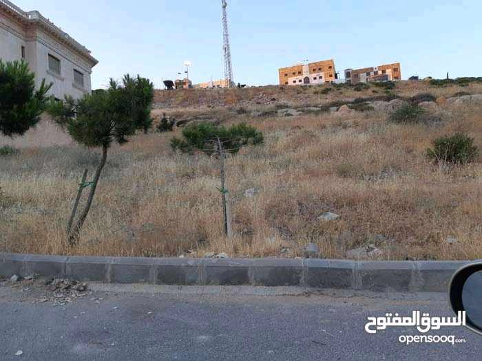 أرض في منطقة ياجوز ، شارع فتحي الصمادي - 185,000 دأ - صورة 1