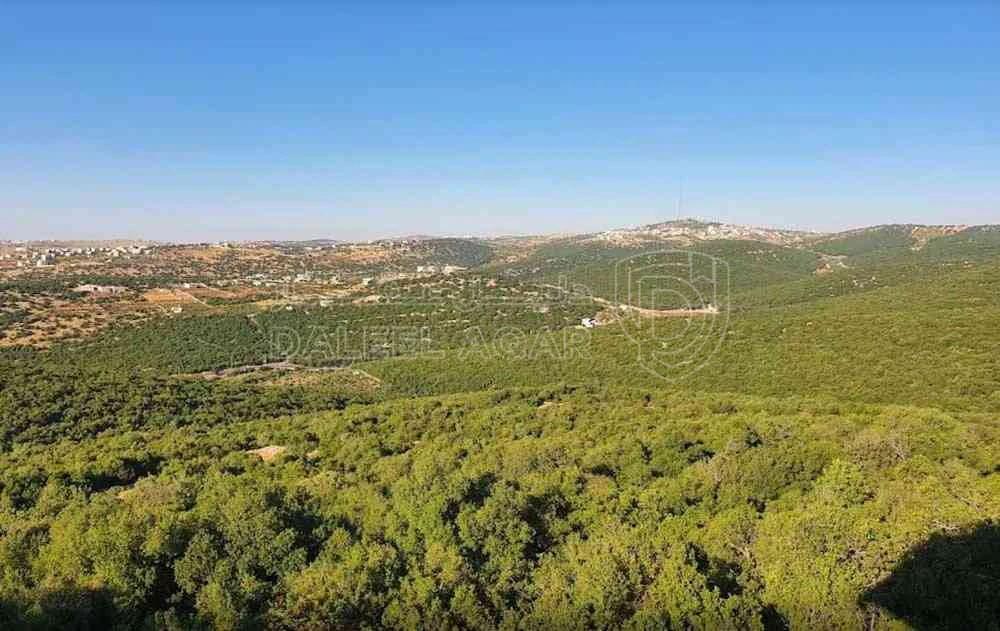 أرض في عجلون قرب المحمية الملكية - 43,000 دأ - صورة 1