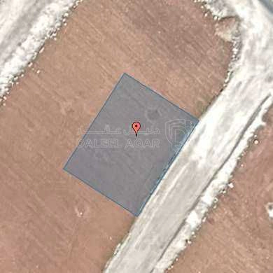 أرض في اراضي ناعور - ام البساتين  - 195,000 دأ - صورة 1