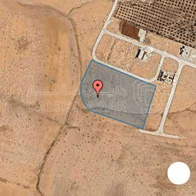 أرض في عمان - مناخر - 225,000 دأ - صورة 1
