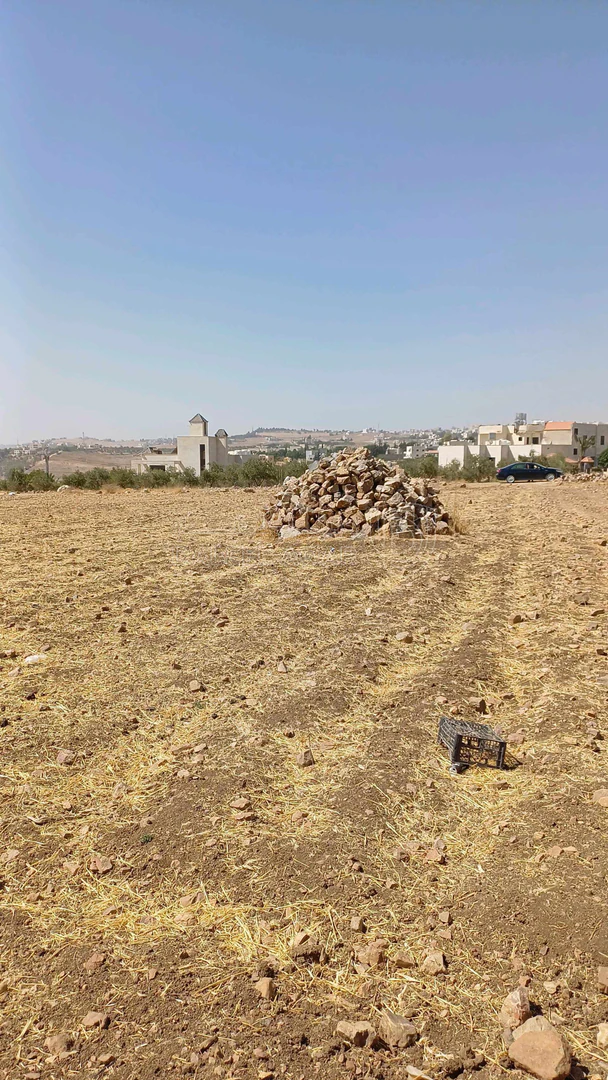 أرض في   السرو الجنوبي  مقابل جامعة عمان الاهلية  - 264,000 دأ - صورة 1