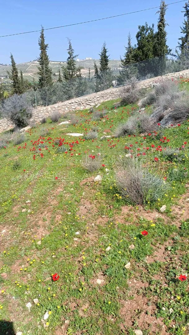 أرض في منطقة دحل طريق الزرقاء جرش - 50,000 دأ - صورة 1