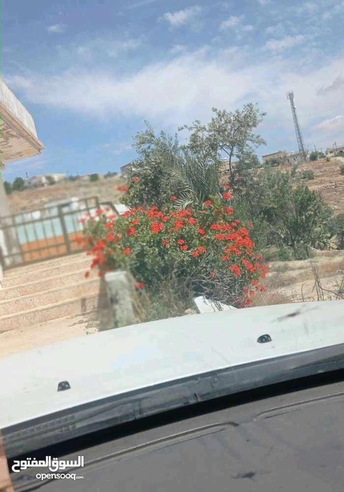 مبنى في المفرق حمامة العموش  - 32,000 دأ - صورة 1