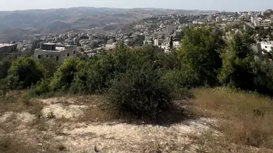 أرض في ماحص / أطراف منطقة بدر الجديده / بجانب قصر السعودي  - 170,000 دأ - صورة NaN