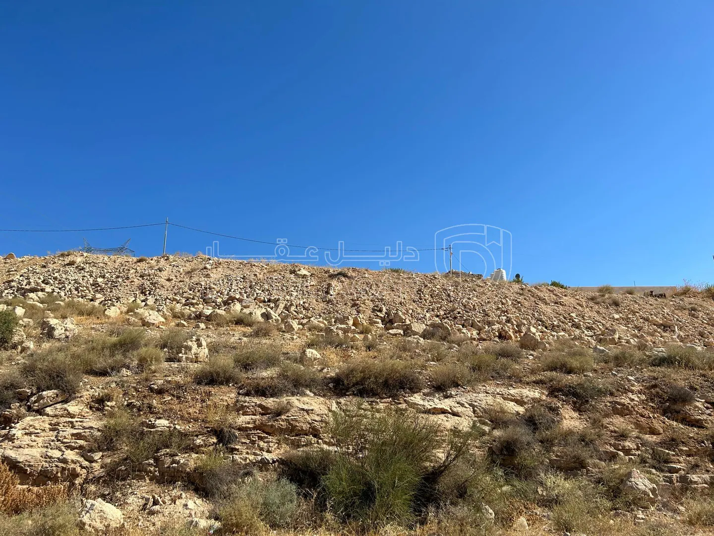 أرض في ارض للبيع في بيرين - الزرقاء - 41,000 دأ - صورة 1