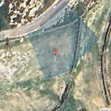 أرض في عمان - العال و الروضة  - 68,000 دأ - صورة 1