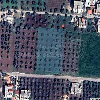 أرض في اربد سوم الشناق - 100,000 دأ - صورة 1