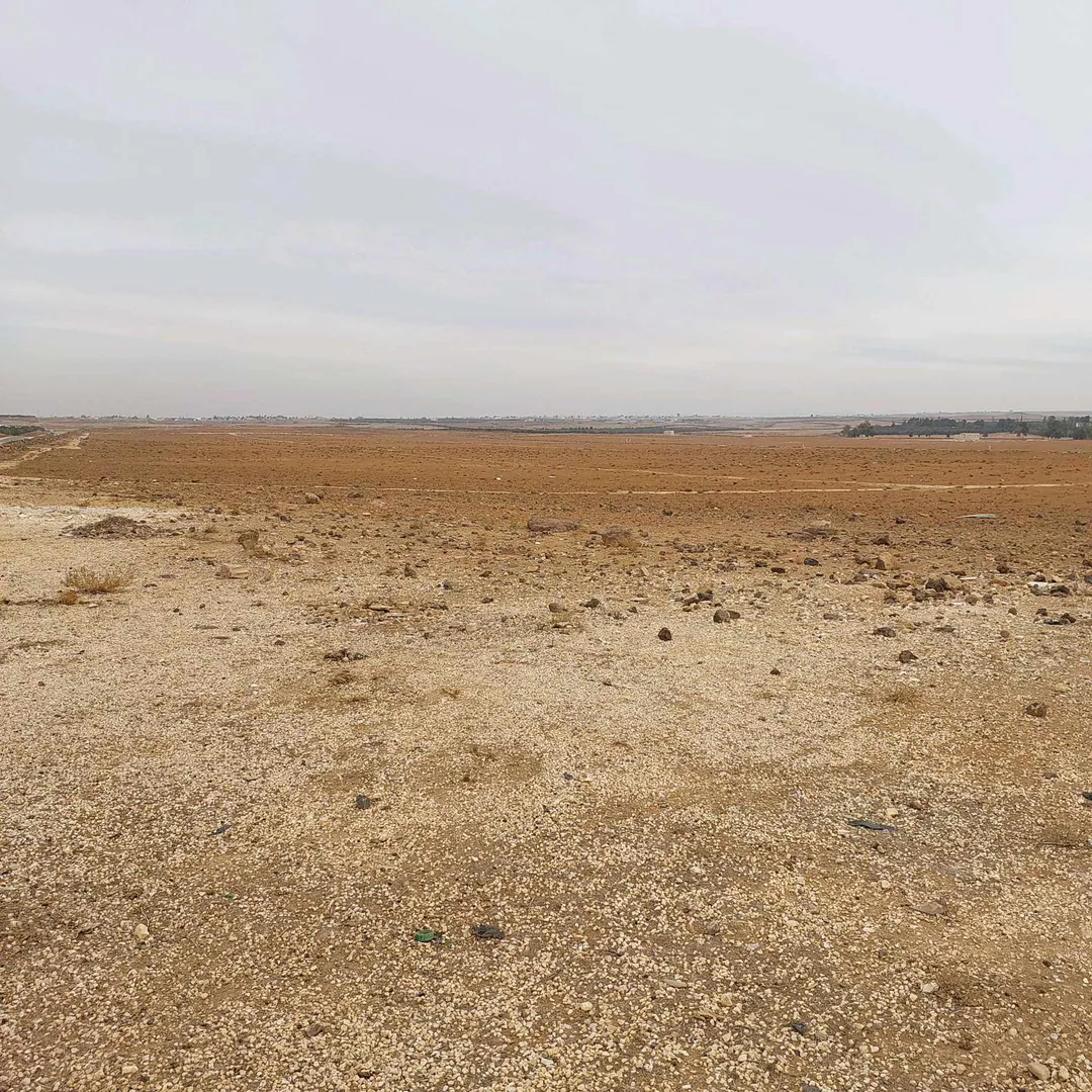 أرض في ام الجمال. الخربة - 200,000 دأ - صورة 1