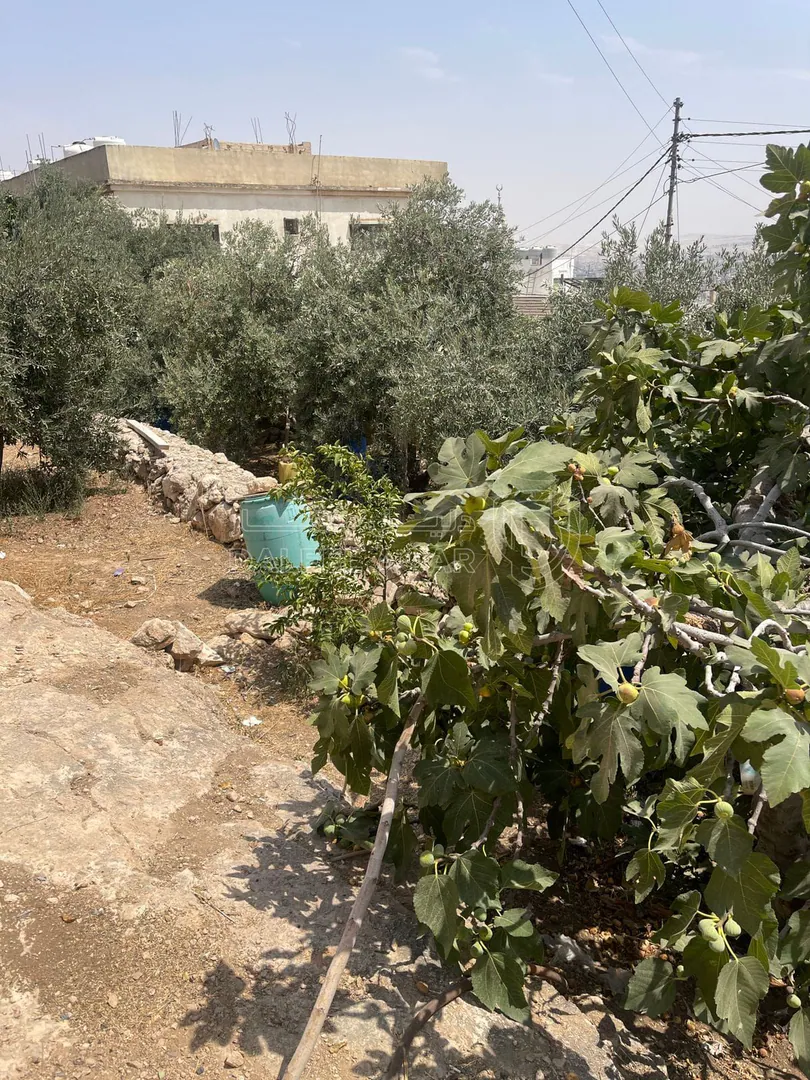 مبنى في بالقرب من مسجد صلاح الدين ومحكمة بداية الرصيفة ال - 85,000 دأ - صورة 1
