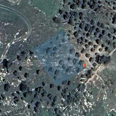 أرض في ناعور - 50,000 دأ - صورة 1