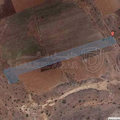 أرض في ارض مميزه للاستثمار في ام قيس - 72,000 دأ - صورة 1
