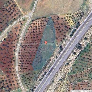 أرض في جرش - مزرعة الشواهد - 22,000 دأ - صورة 1