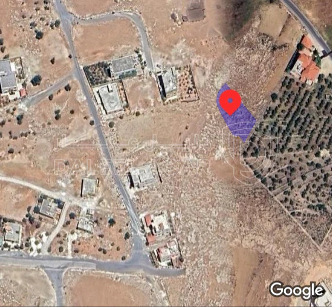 أرض في ارض شفا بدران ام العروق - 90,000 دأ - صورة 1