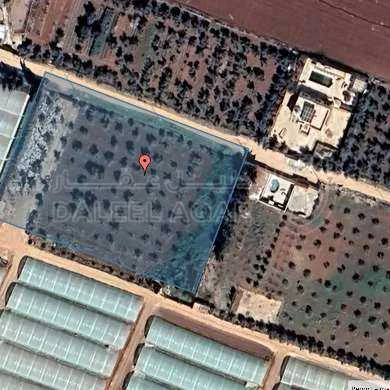 أرض في Madaba  - 194,000 دأ - صورة 1