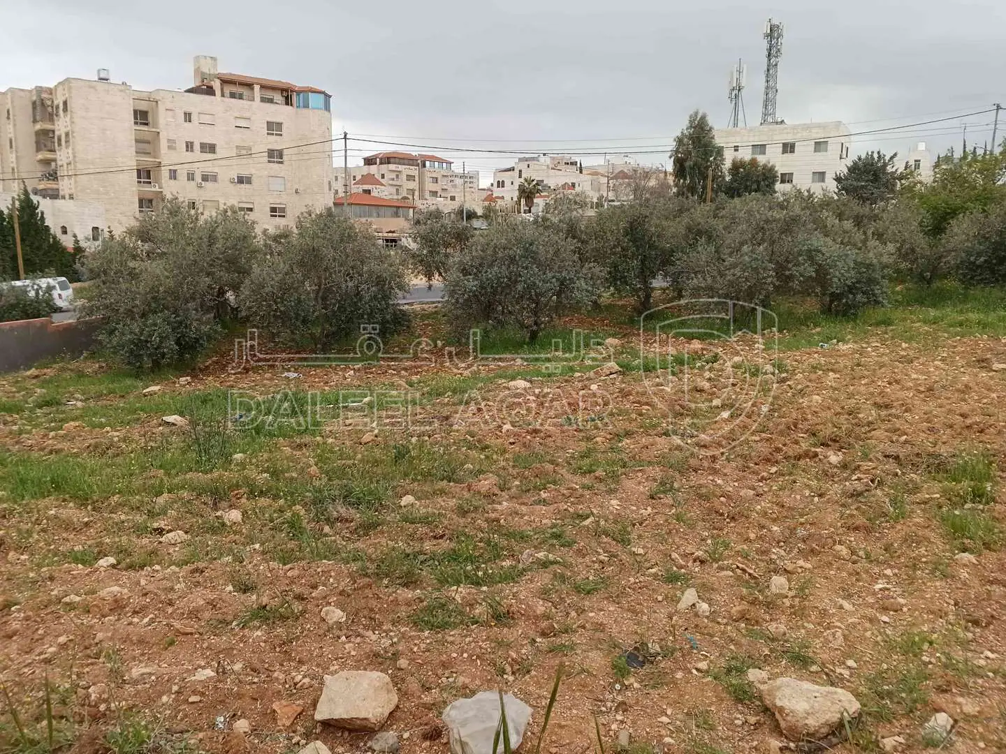 أرض في أرض للبيع شفا بدران  - 950,000 دأ - صورة 1