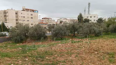 أرض في أرض للبيع شفا بدران  - 950,000 دأ - صورة NaN