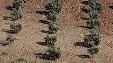 أرض في كفرنجه منطقة راجب - 68,000 دأ - صورة NaN