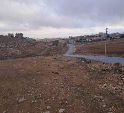 أرض في الكرك زحوم باتجاه المنشيه  - 180,000 دأ - صورة 1