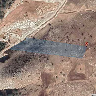 أرض في اربد  - 50,000 دأ - صورة 1