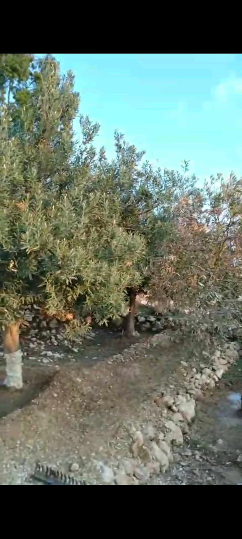 أرض في عمان ناعور - 40,000 دأ - صورة 1