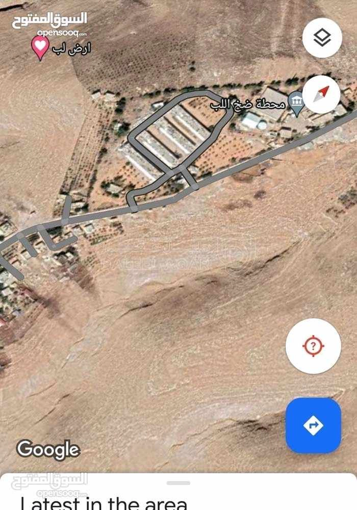 أرض في مادبا - لب - المنسف الغربي  - 9,000 دأ - صورة 1