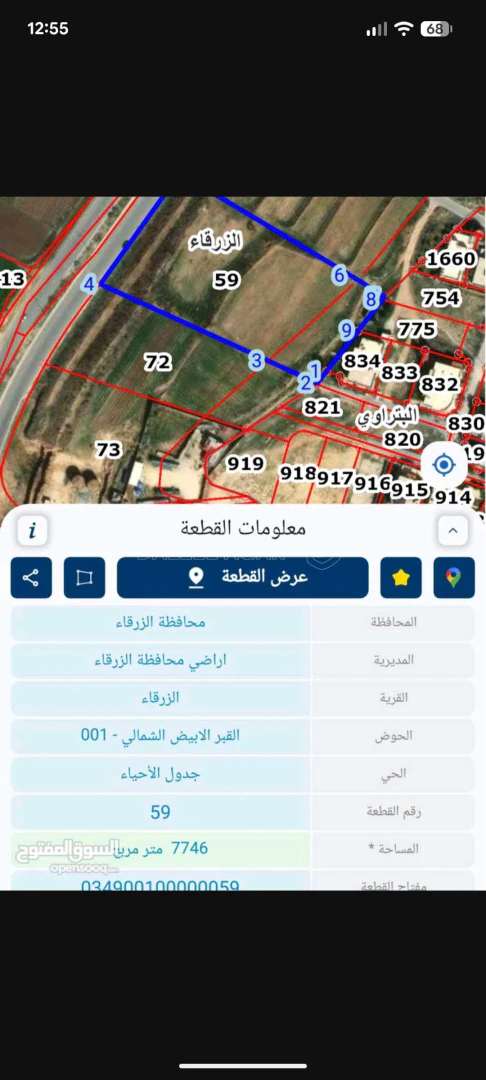 أرض في قطعة أرض على الشارع الرئيسي السخنة. الملك مباشره - 320,000 دأ - صورة 1
