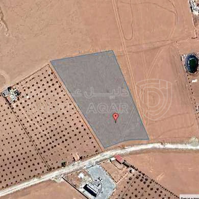 أرض في ارض زراعيه للبيع في مادبا لب الغدير - 45,000 دأ - صورة 1
