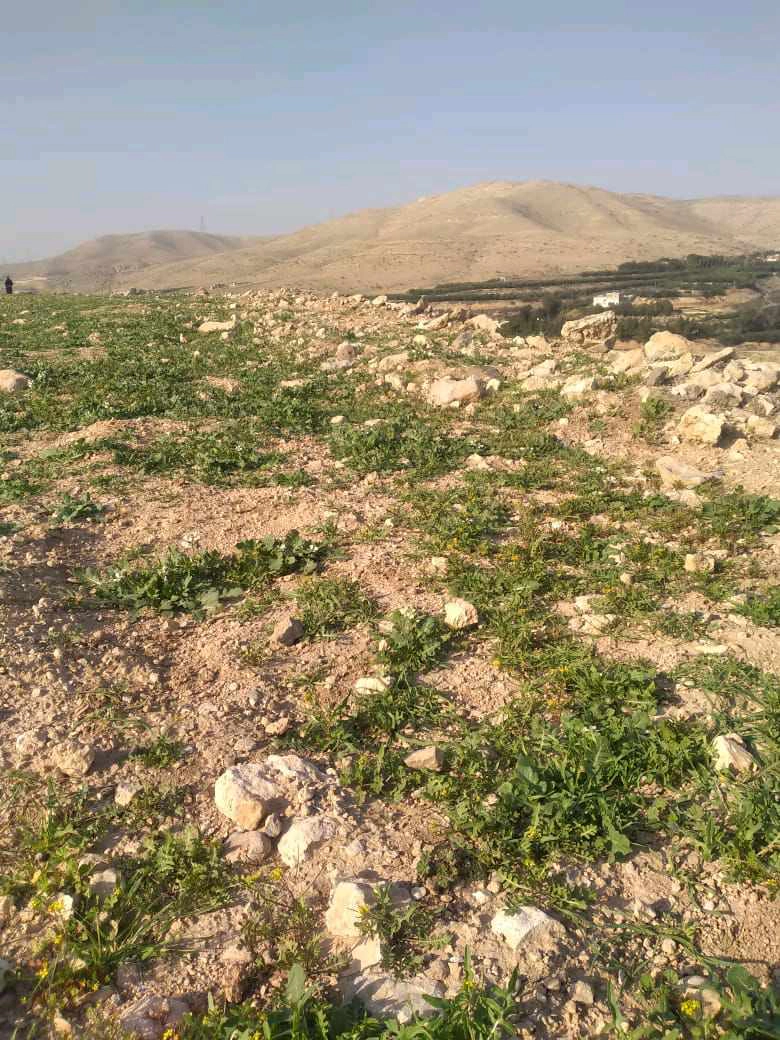أرض في الزرقاء دوقرة  - 46,000 دأ - صورة 1