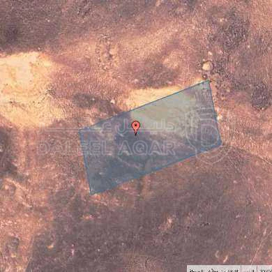 أرض في المفرق - غدير العبد  - 10,000 دأ - صورة 1