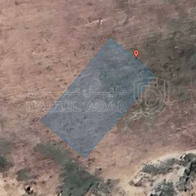 أرض في الرمثا سويدان الجنوبي - 19,000 دأ - صورة 1