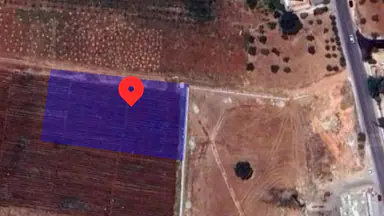 أرض في السلط  بيوضة الشرقية  - 75,000 دأ - صورة NaN