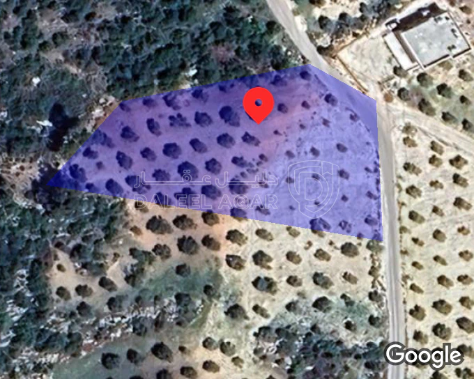 أرض في جرش برما دبين - 60,000 دأ - صورة 1